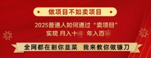 必看,做项目不如卖项目,2025普通人如何通过“卖项目”实现月入十个,年入百个-网赚项目众筹网