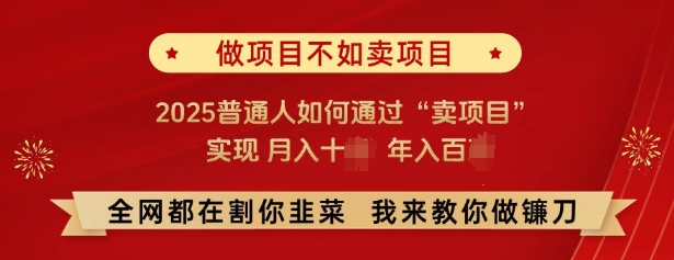 必看，做项目不如卖项目，2025普通人如何通过“卖项目”实现月入十个，年入百个-网赚项目众筹网