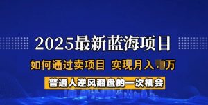 2025蓝海项目,普通人如何通过卖项目,实现月入过W,全过程【揭秘】-网赚项目众筹网
