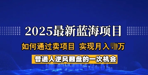 2025蓝海项目，普通人如何通过卖项目，实现月入过W，全过程【揭秘】-网赚项目众筹网