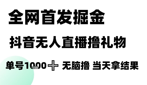 全网首发掘金抖音无人直播撸礼物，单号1k +无脑撸，当天拿结果【揭秘】-网赚项目众筹网