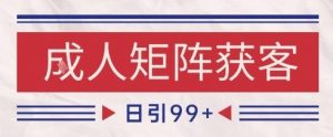 小红书某音橙人赛道引流获客,自热矩阵日引200+【揭秘】-网赚项目众筹网