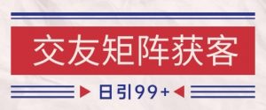 小红书某音交友赛道引流获客 自热矩阵日引200+【揭秘】-网赚项目众筹网