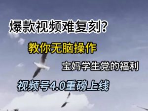 视频号4.0重磅上线,爆款视频难复刻?教你无脑操作宝妈学生党的福利【揭秘】-网赚项目众筹网