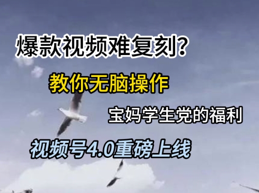 视频号4.0重磅上线，爆款视频难复刻？教你无脑操作宝妈学生党的福利【揭秘】-网赚项目众筹网