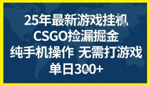 25年CSGO游戏搬砖,全自动挂G,不需要玩游戏,手机操作日入3张+【揭秘】-网赚项目众筹网