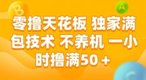 零撸天花板,独家满包技术 不养机 一小时撸满50+【揭秘】-网赚项目众筹网