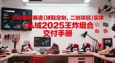 小众暴利赛道(球鞋定制，二创项目)实体+私域2025王炸组合  交付手册-网赚项目众筹网
