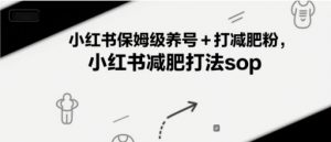 小红书保姆级养号+打减肥粉,小红书减肥打法sop-网赚项目众筹网