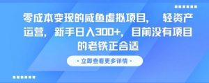 零成本变现的咸鱼虚拟项目, 轻资产运营,新手日入3张+,目前没有项目的老铁正合适-网赚项目众筹网