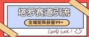 小红书某音塔罗赛道引流获客 自热矩阵日引200+【揭秘】-网赚项目众筹网