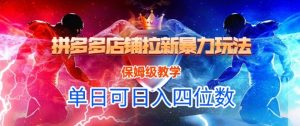 悟空直搜拼多多店铺拉新暴力玩法,保姆级教学,单日可入四位数-网赚项目众筹网