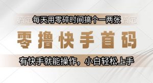 零撸快手首码,每天用零碎时间搞个一两张,有快手就能操作小白轻松上手【揭秘】-网赚项目众筹网