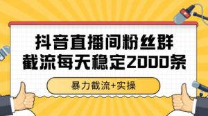 抖音直播间粉丝群暴力截流,一台电脑每天稳定2000条数据【揭秘】-网赚项目众筹网