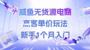 咸鱼无货源电商,高客单价玩法,新手1个月入门-网赚项目众筹网