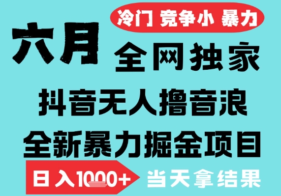 2025年6月高爆抖音无人直播最新撸音浪掘金项目，无脑日入1k+，低门槛小白可做，可矩阵放大【揭秘】-网赚项目众筹网