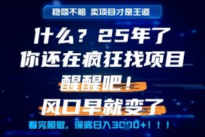 什么?25年你还在疯狂找项目做,醒醒吧,看完这些你全都懂了!【揭秘】-网赚项目众筹网