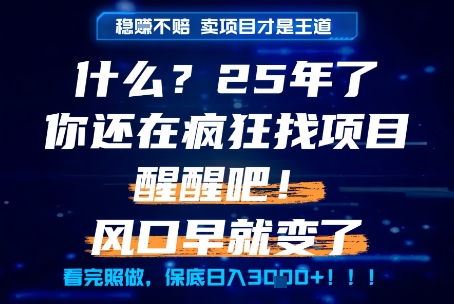 什么？25年你还在疯狂找项目做，醒醒吧，看完这些你全都懂了！【揭秘】-网赚项目众筹网