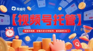 【视频号托管 】我提供视频,你每天花5分钟发布,最高躺挣2W+【揭秘】-网赚项目众筹网