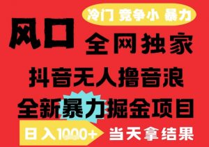 25年6月高爆抖音无人直播最新撸音浪掘金项目,解放双手小白可做,无脑日入1k+,门槛低【揭秘】-网赚项目众筹网