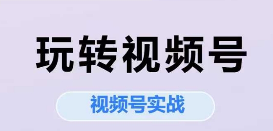 玩转视频号，视频号实战系列课-网赚项目众筹网