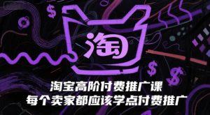 淘宝高阶付费推广课,每个卖家都应该学点付费推广-网赚项目众筹网