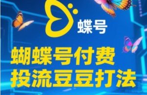 2025蝴蝶号付费投流豆豆打法,助新手快速掌握付费流量撬动自然流的核心玩法-网赚项目众筹网