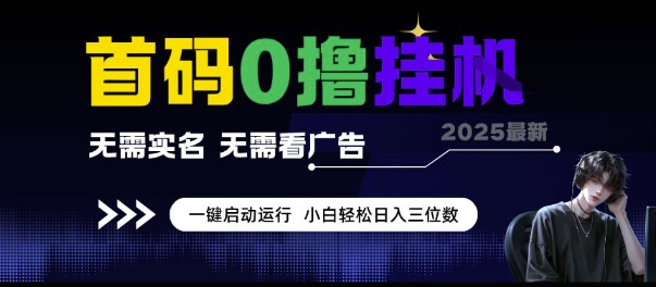 首码0撸挂G项目，无需实名无需看广告 一键启动运行，小白轻松日入三位数【揭秘】-网赚项目众筹网