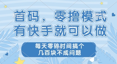 首码零撸项目，有快手就可以做，每天业务时间搞个几张不是问题【揭秘】-网赚项目众筹网