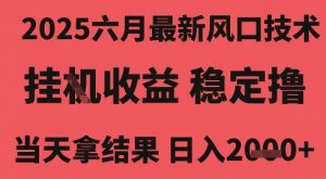 2025六月最新风口技术,无人挂G撸礼物,长期稳定 一个小时收益2k+,小白当天拿结果【揭秘】-网赚项目众筹网