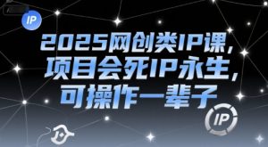 2025网创类IP课,项目会死IP永生,可操作一辈子-网赚项目众筹网