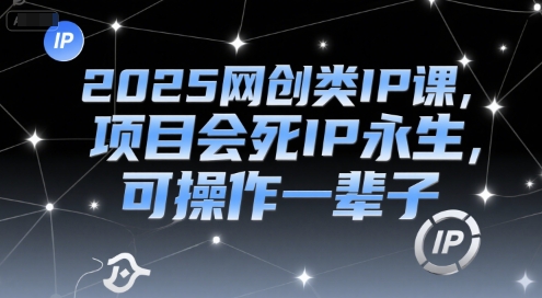 2025网创类IP课，项目会死IP永生，可操作一辈子-网赚项目众筹网