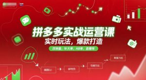 拼多多实战运营课,实时玩法,爆款打造,改销量,补大单,AB单,直播等(更新2025月)-网赚项目众筹网