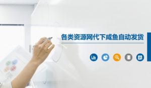 各类资源网代下咸鱼自动发货-网赚项目众筹网