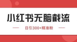 小红书截流同行客源,独家野路子获客玩法 日引200+暴力获客【揭秘】-网赚项目众筹网