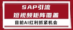 小红书某音sap赛道引流获客 自热矩阵日引200+【揭秘】-网赚项目众筹网