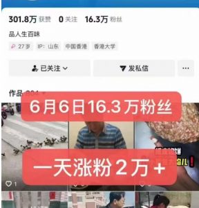 外面卖5000最新抖音搬运涨粉技术,新玩法,一分钟一条,一天涨粉2W,苹果安卓都可用-网赚项目众筹网