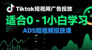 Tiktok短视频广告投放,适合0-1小白学习ADS短视频投放课-网赚项目众筹网