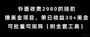 外面收费2980的挂G撸美金项目,单日收益30+美金,可批量可矩阵【揭秘】-网赚项目众筹网