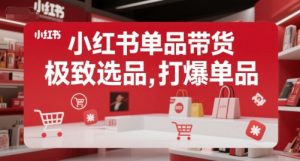 小红书单品带货,极致选品,打爆单品-网赚项目众筹网