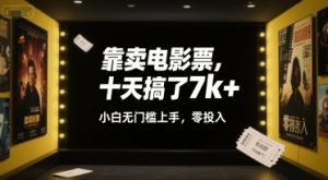 靠卖电影票,十天搞了7k+,小白无门槛上手,零投入【揭秘】-网赚项目众筹网