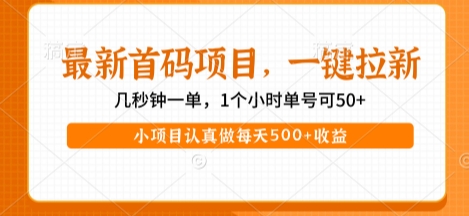 最新首码项目，操作最简单，收益高，一键拉新，1个小时单号可50+，小项目认真做每天5张+收益【揭秘】-网赚项目众筹网