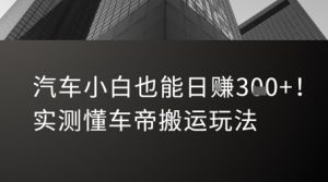 汽车小白也能日入3张!实测懂车帝搬运玩法-网赚项目众筹网