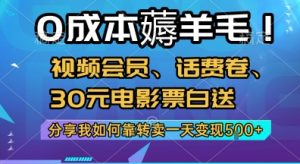 0成本薅羊毛!视频会员、话费卷、30元电影票白送,分享我如何靠转卖一天变现5张+【揭秘】-网赚项目众筹网