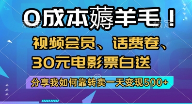 0成本薅羊毛!视频会员、话费卷、30元电影票白送，分享我如何靠转卖一天变现5张+【揭秘】-网赚项目众筹网