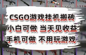 CSGO游戏挂G搬砖,小白纯手机即可操作,不用电脑打游戏,日入3张+,副业网创项目【揭秘】-网赚项目众筹网