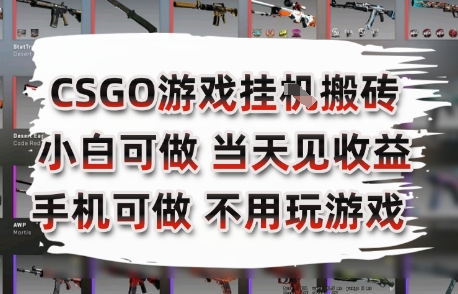 CSGO游戏挂G搬砖，小白纯手机即可操作，不用电脑打游戏，日入3张+，副业网创项目【揭秘】-网赚项目众筹网