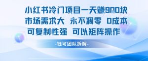 小红书冷门项目一天收益9张,市场需求大,0成本,可复制性强可以矩阵操作-网赚项目众筹网