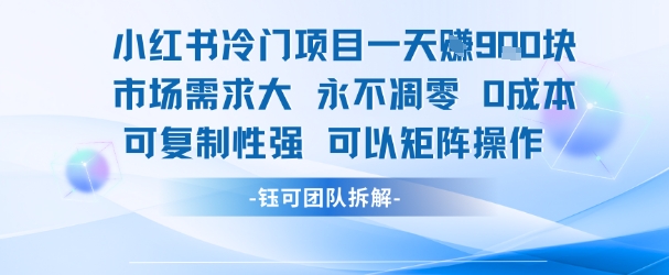 小红书冷门项目一天收益9张，市场需求大，0成本，可复制性强可以矩阵操作-网赚项目众筹网
