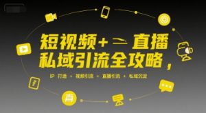 短视频+直播私域引流全攻略,IP打造 +视频引流 +直播引流 +私域沉淀-网赚项目众筹网